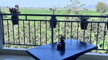 Habitación básica doble | Terraza o patio