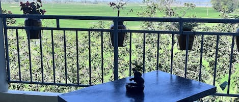 Basic Double Room | Terrace/patio