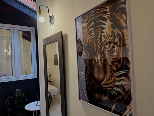 HOSTING DREAMS ATTICS DUOMO