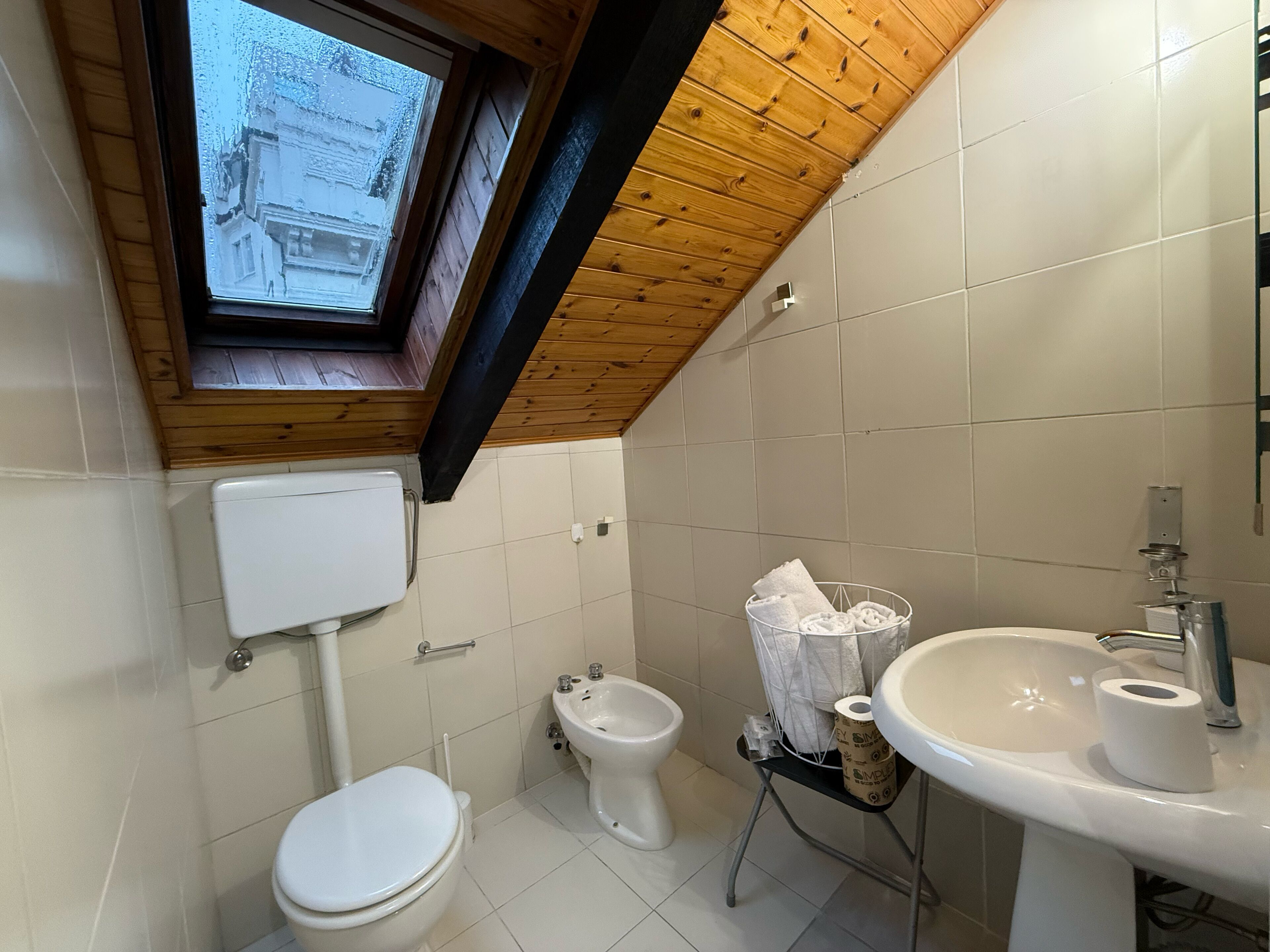 A small, modern bathroom with a skylight, a toilet, a bidet, and a sink.