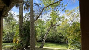 A view of a garden with trees and a pond, viewed from under a wooden structure. -  Weeki Wachee river !! REAL FLORIDA! Read OUR  5 STAR REVIEWS (Spring Hill)