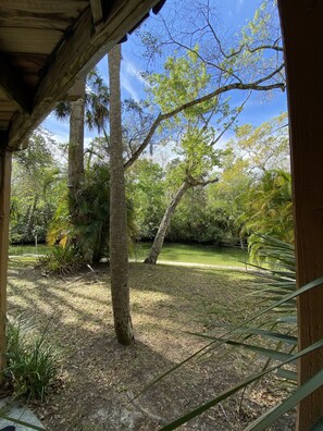Property grounds -  Weeki Wachee river !! REAL FLORIDA! Read OUR  5 STAR REVIEWS (Spring Hill)