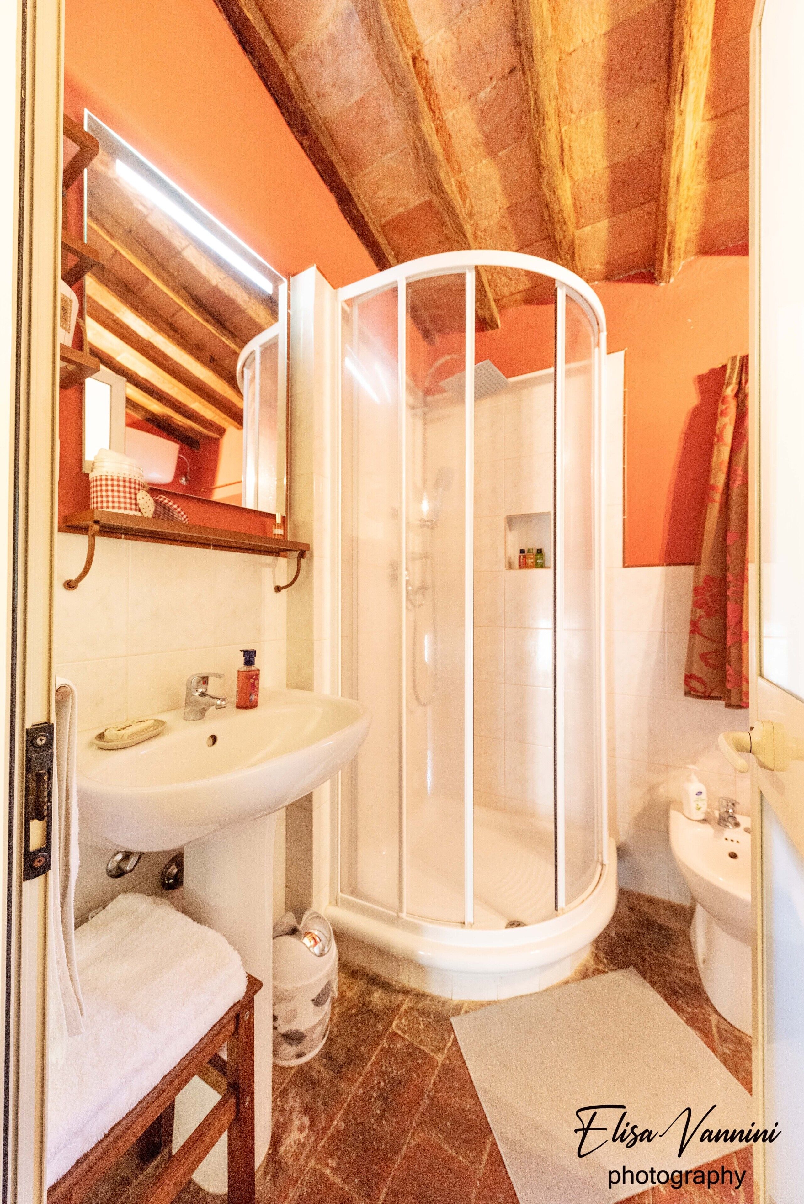 Dusche, Haartrockner, Bidet, Handtücher