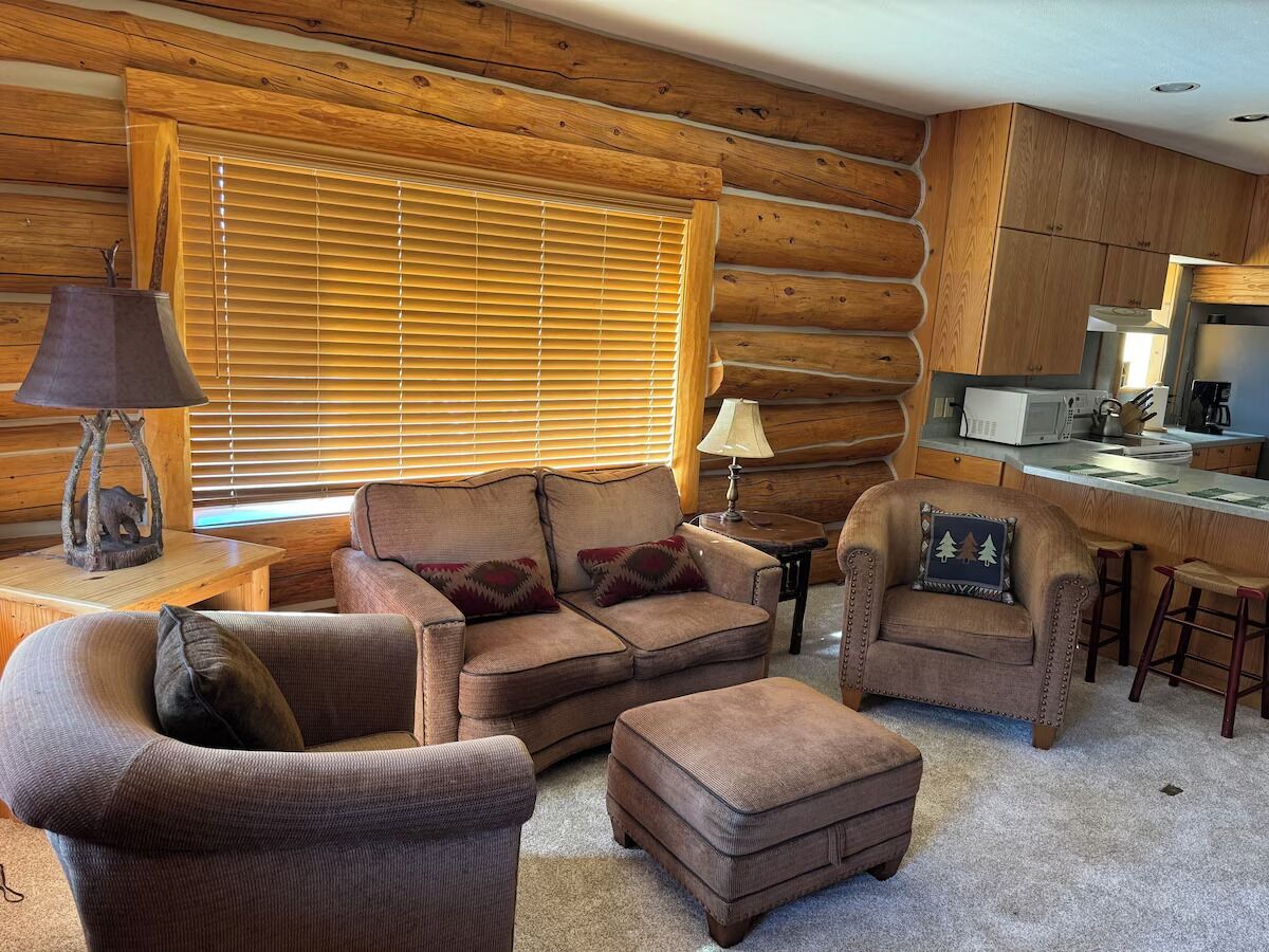 電視、DVD 播放機