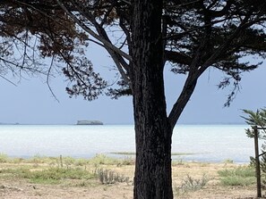 在海滩、沙滩椅