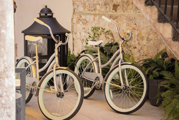 Deux vélos sont garés près d’un mur de pierre, à côté de quelques plantes.