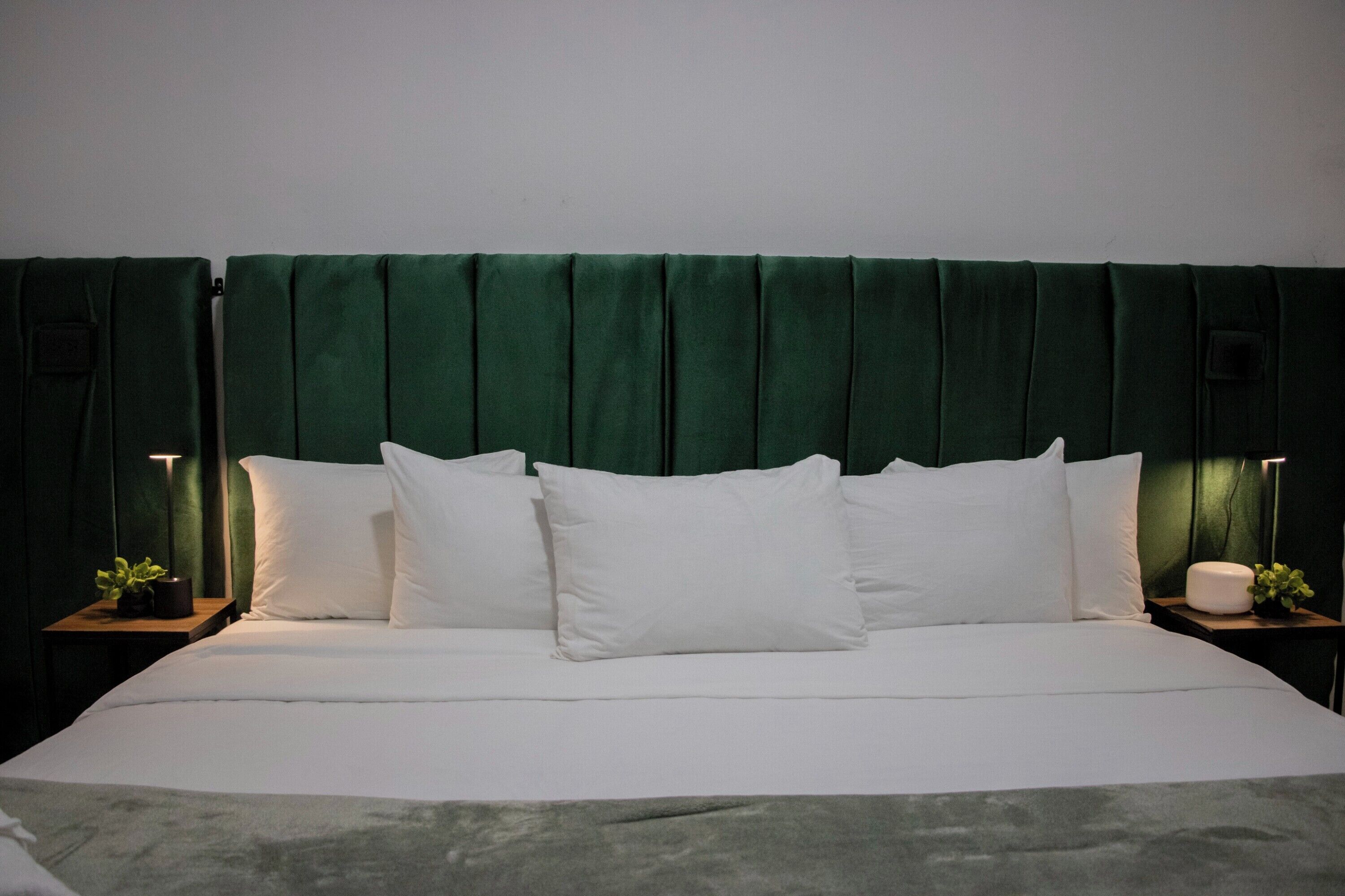 Photo - Collection O Patio Zaragoza