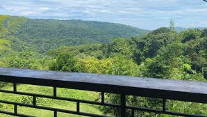 A view from a covered balcony overlooking a lush, green valley with dense forest and hills in the background. - Two mountain villas Near Dominical Beach Costa Rica. (San José)