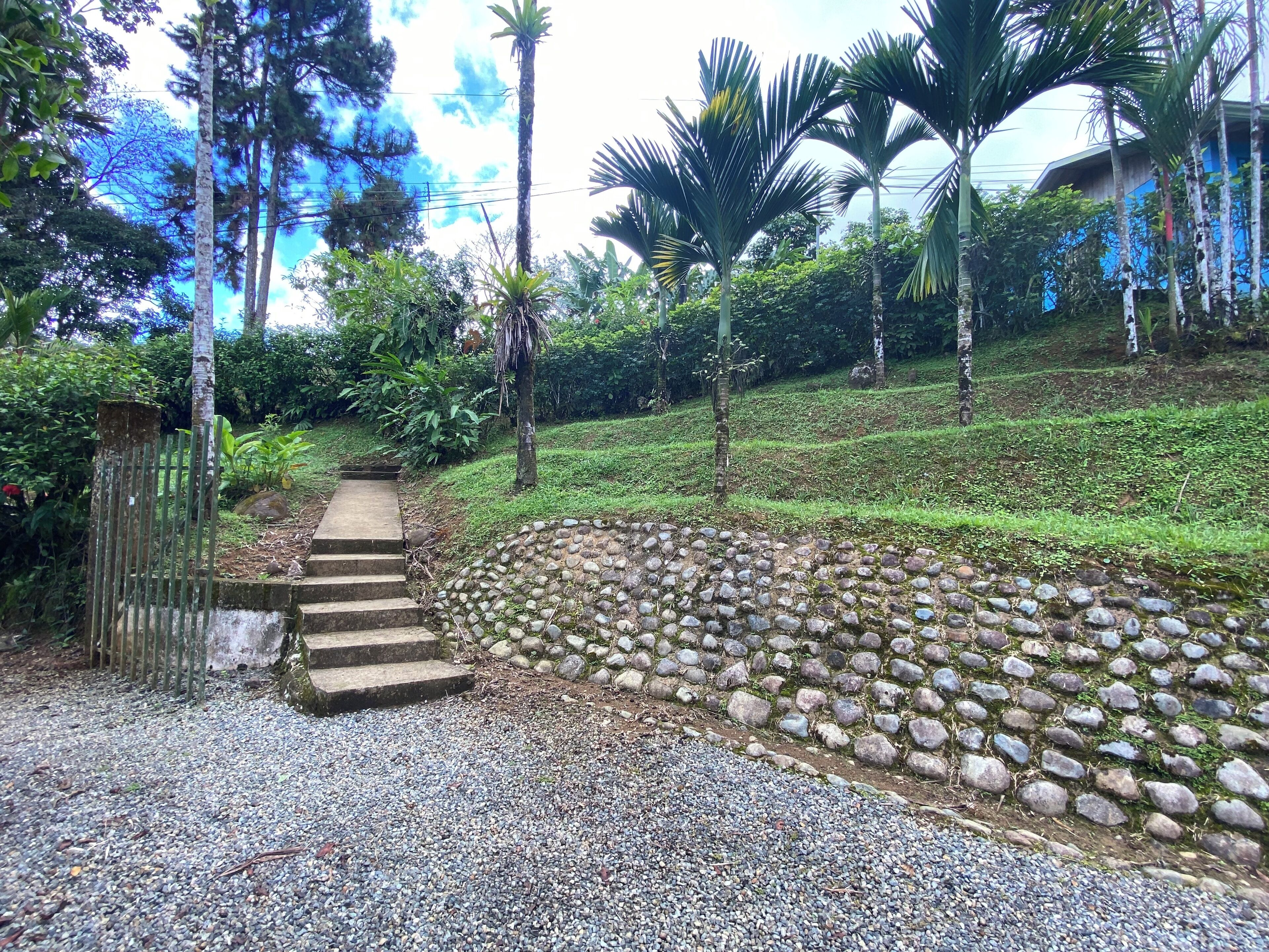 A pathway leading to a building with a stone wall and steps.