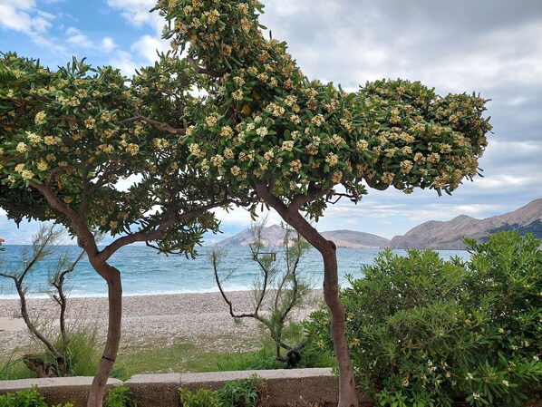 On the beach - Great flat only 500 metres to the beach (Baska)