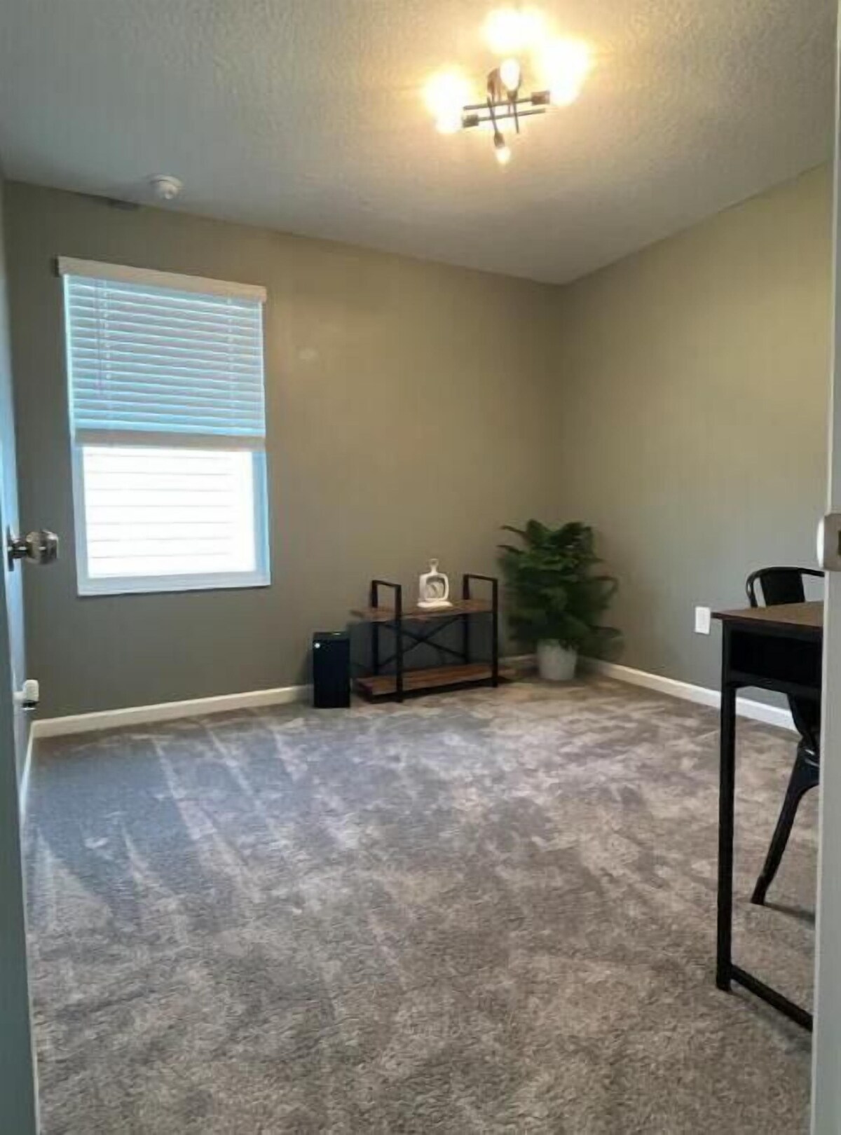 Værtens profilbillede