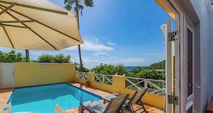 Luxury Modern Villa with private pool in St. Croix, USVI