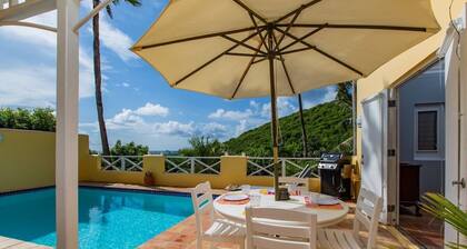 Luxury Modern Villa with private pool in St. Croix, USVI