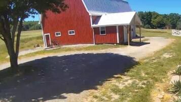 Esterni