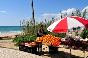 Lettini da mare