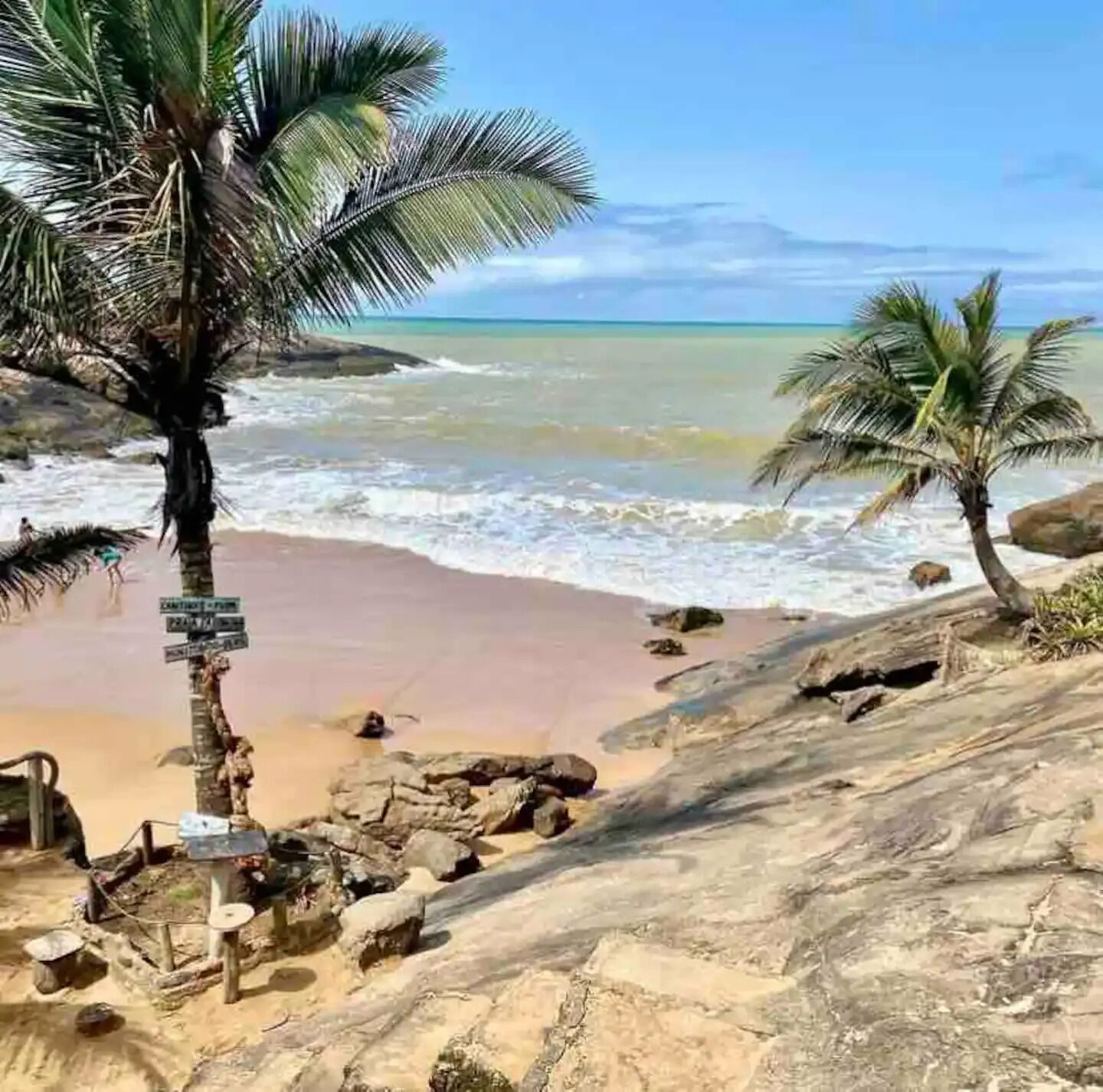 Une plage bordée de palmiers, un rivage rocheux et une vue dégagée sur l’océan.