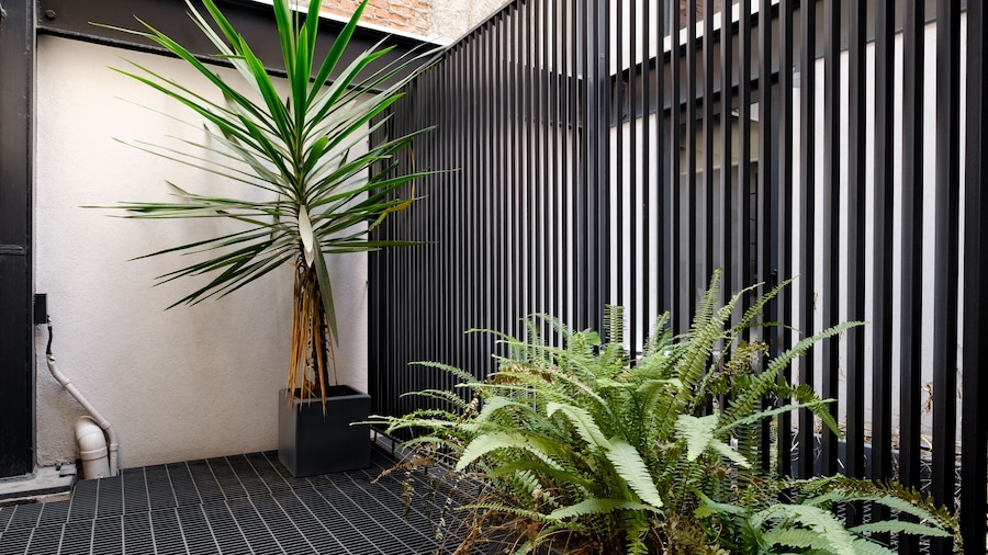 Urban Reforma Mexico City by Lumina