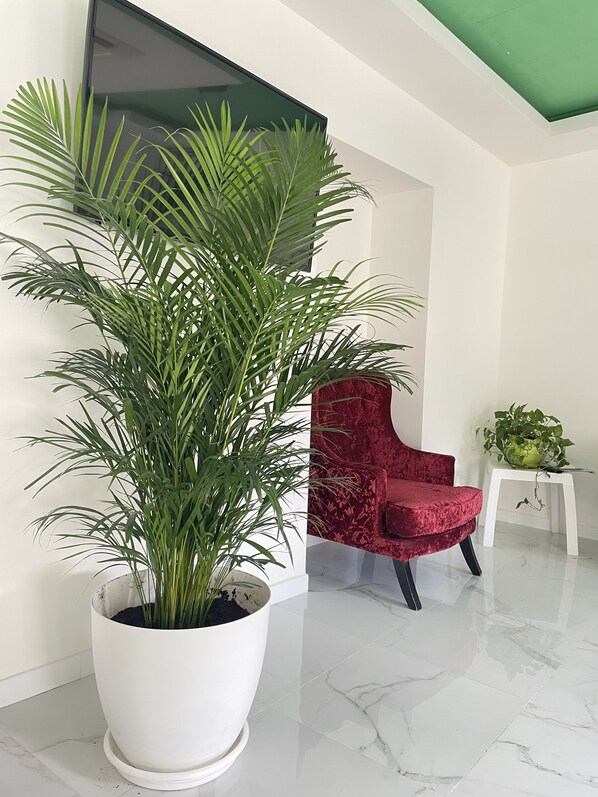 Reception - La Villa del Sastre (Velez-Malaga)