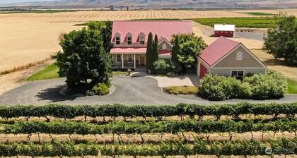 Vineyard Estate-Mountain views-Private; minutes to downtown. Pet friendly