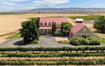 Vineyard Estate-Mountain views-Private; minutes to downtown. Pet friendly