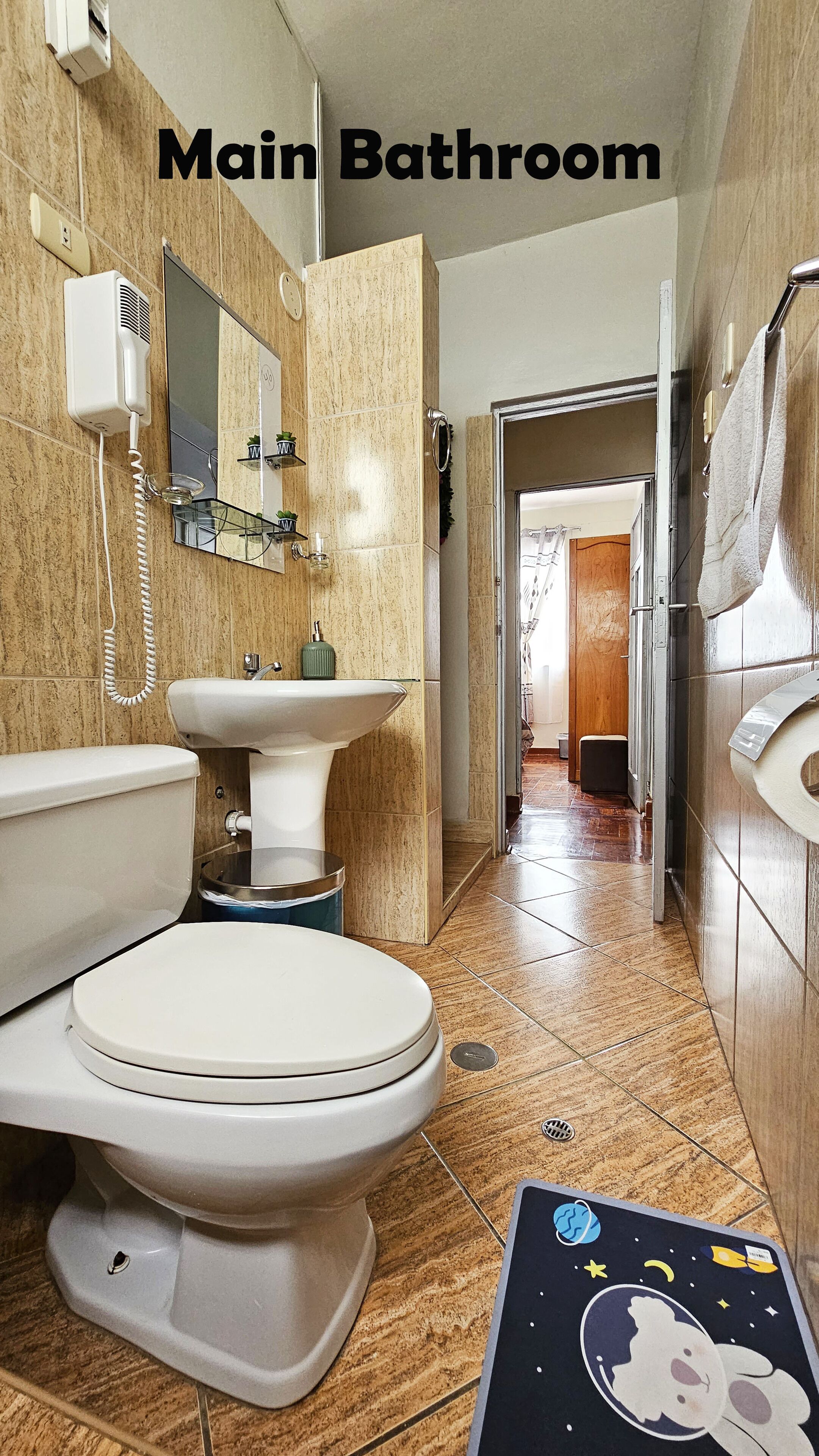 Hair dryer, towels, soap, shampoo