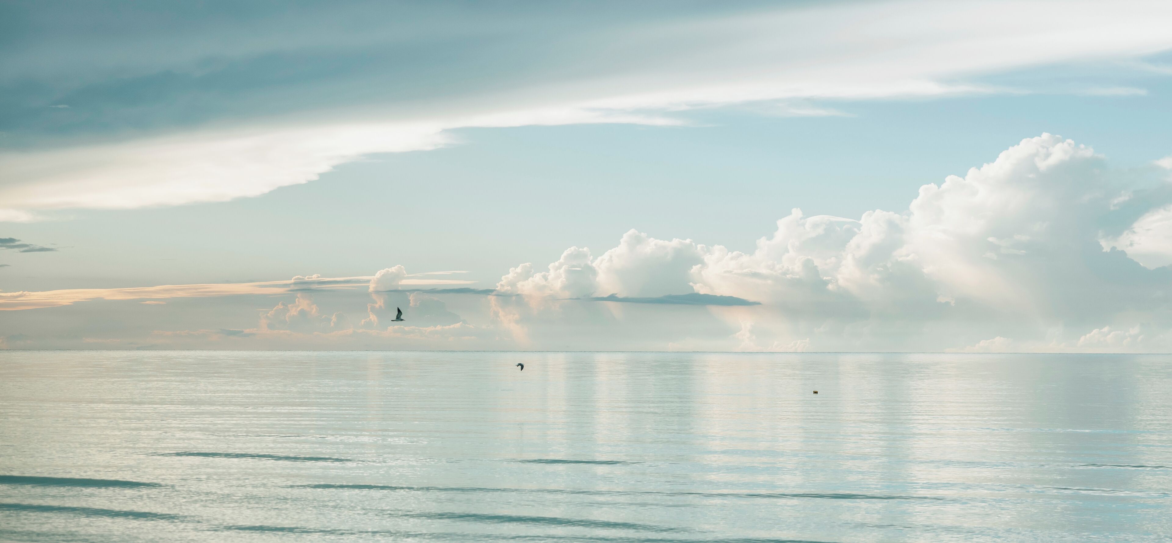 Foto - Tekio Beach Hotel