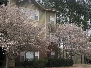 Exterior - WALKING DISTANCE to Ole Miss campus! Perfect for baseball and football weekends. (Oxford)