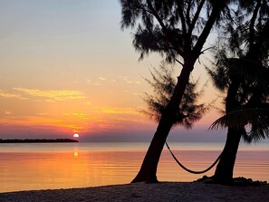 On the beach - Quiet Beachfront Retreat: Gorgeous Views (Placencia)