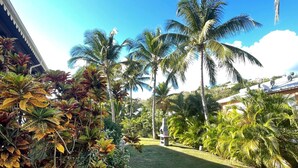 A tropical garden with palm trees and a lawn. - Grand Studio VUE MER ET Piscine (Le diamant)
