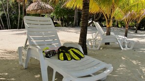 Property grounds - Sunny Bungalow, 3 Bedroom-Beachfront-Private Pool (Placencia)