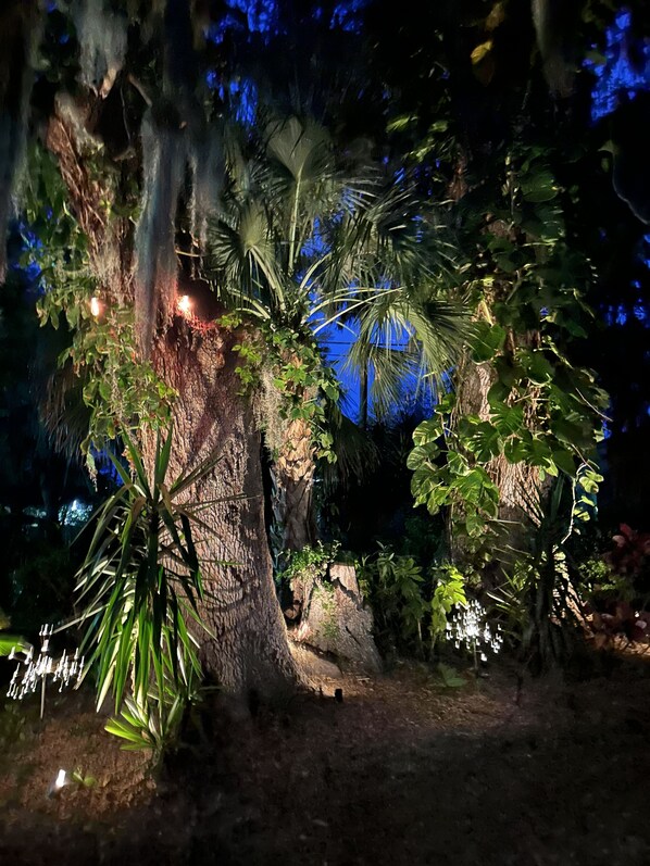 Stroll through a serene garden setting surrounded by a majestic tree with lush foliage.