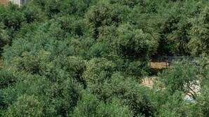A two-story house with a stone wall, a satellite dish, and a red-tiled roof. - Villa 'Margarita's 2' with Sea View, Wi-Fi and Air Conditioning (Chania)