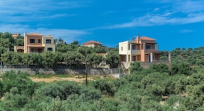 A hillside residential area with multiple houses, each featuring a distinct architectural style and surrounded by dense greenery.