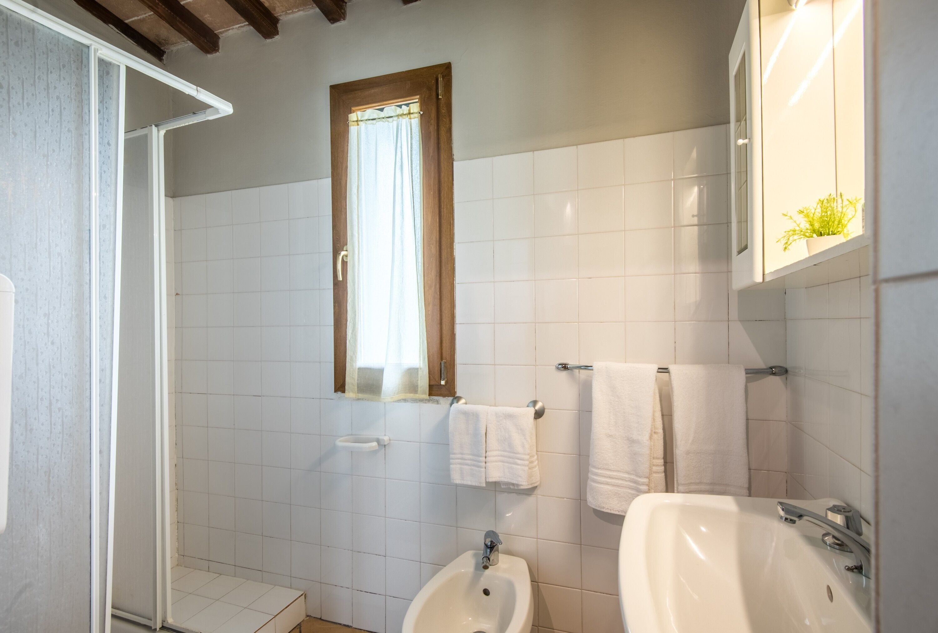 Une salle de bain avec une douche, un lavabo et un miroir.