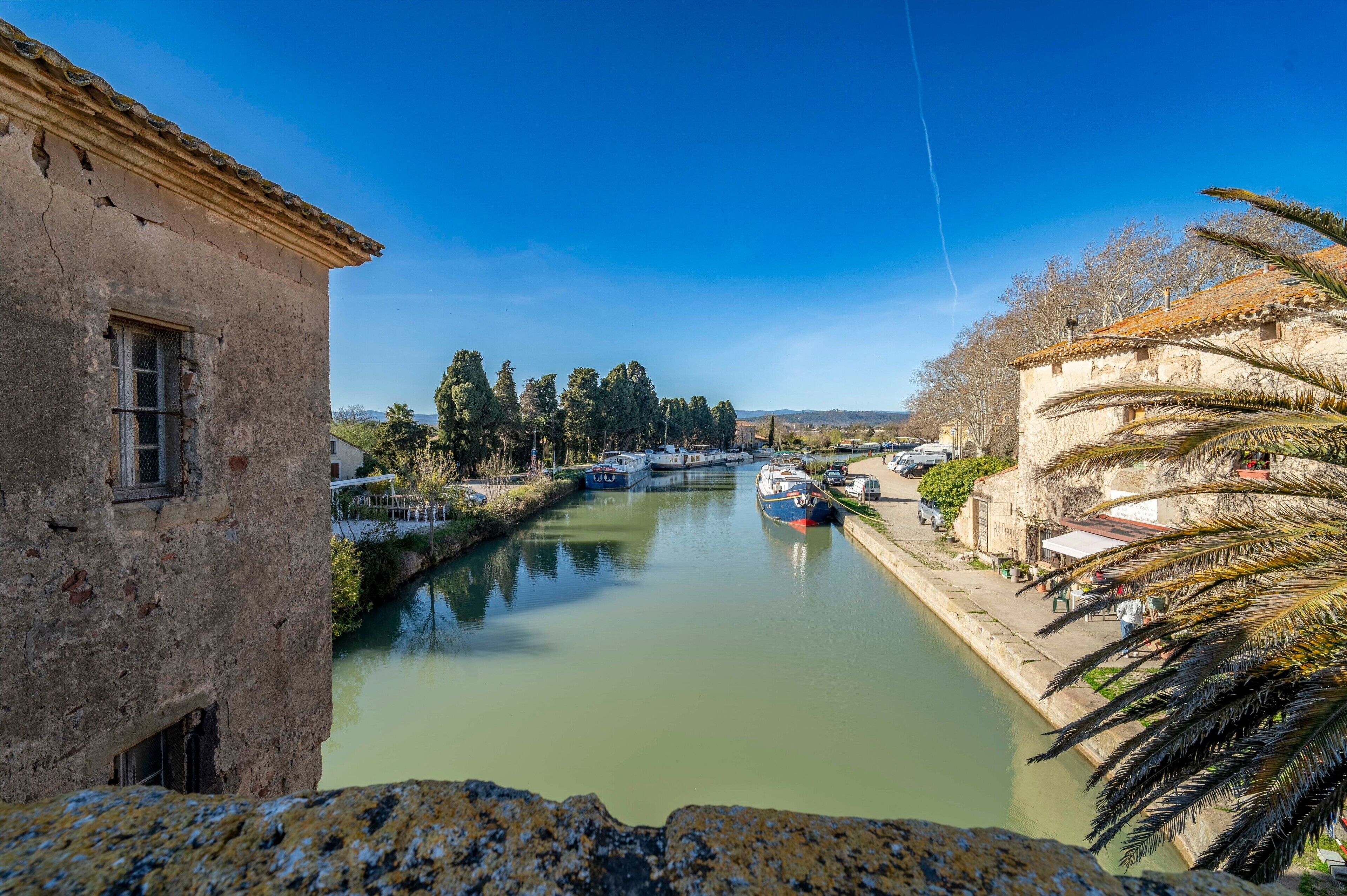 A canal with boats, a stone building, and a palm tree.