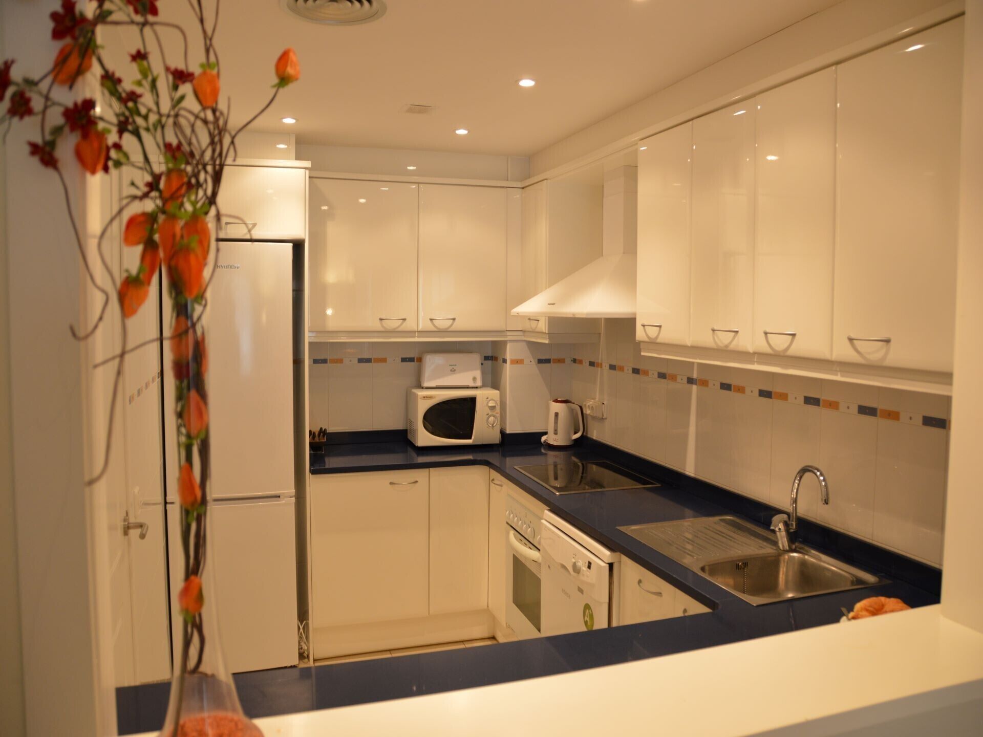 Kylskåp, mikrovågsugn, ugn och spishäll