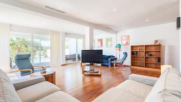 Fernseher
