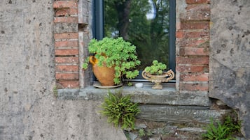 Een raam met een bloempot en een klein decoratief object.