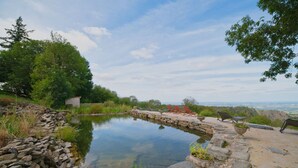 Une piscine en pierre, entourée de verdure et offrant une vue agréable, avec des chaises disposées autour.