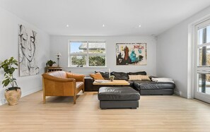 Smart-TV, Kamin
