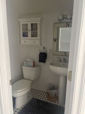 Features a white toilet, sink, and mirror, along with a small cabinet.
