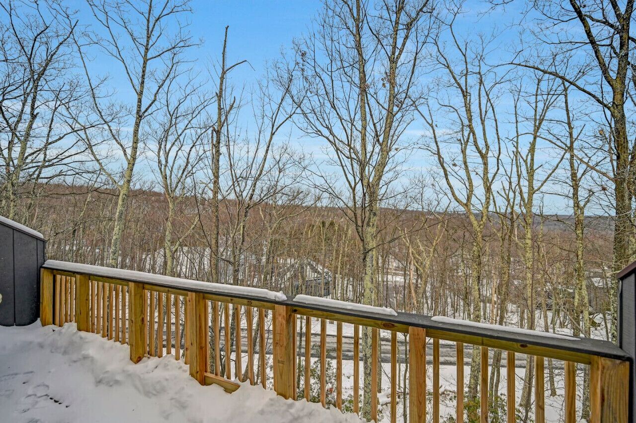 A wooden deck with snow on the ground and bare trees in the background.
