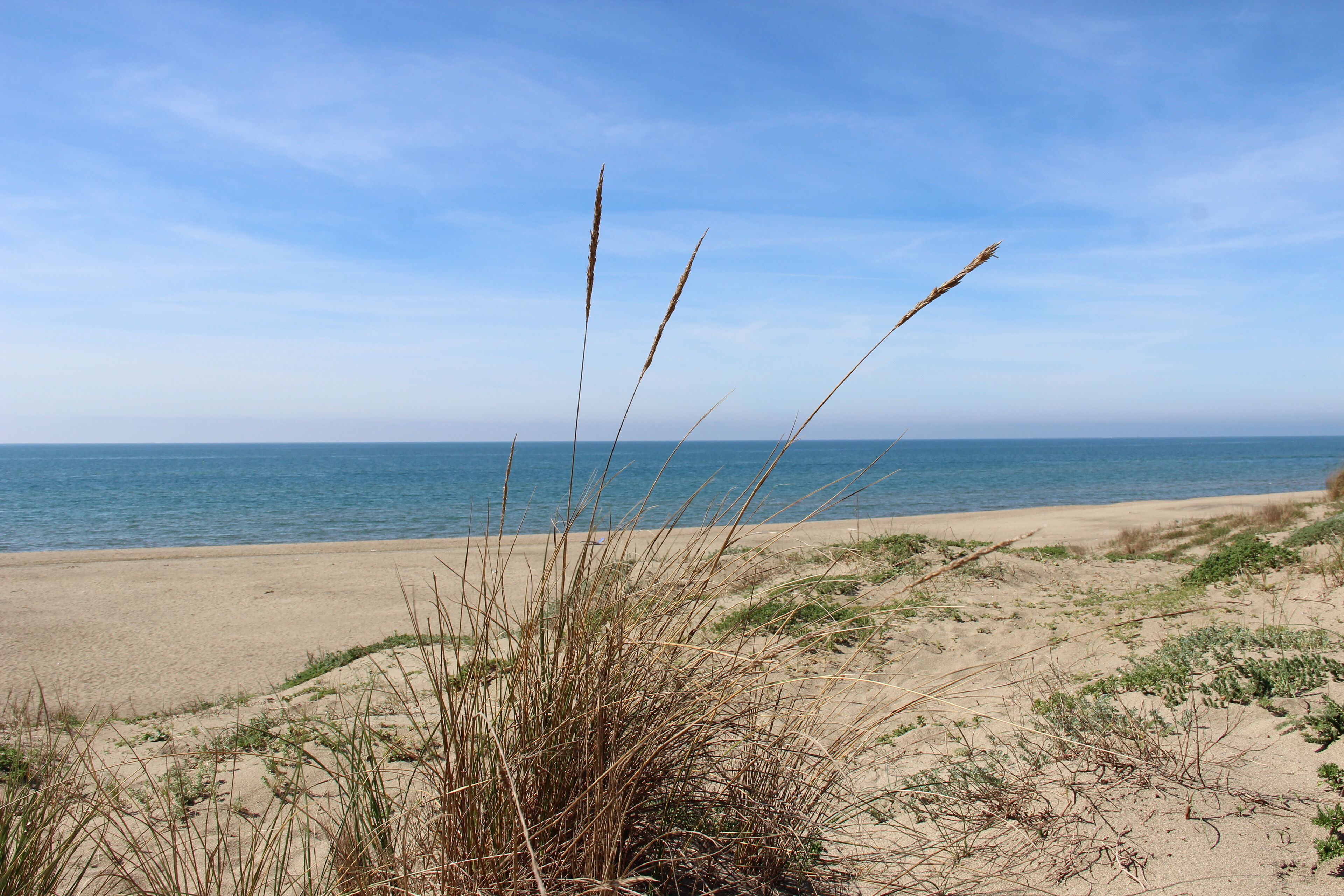 In Strandnähe, Strandtücher