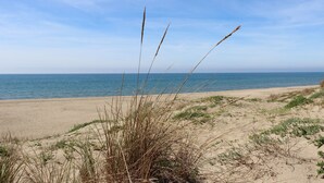 A beach with sand dunes and sparse vegetation. - Ostia-apartment 50 mt from the beach, near historic center-sea view (Lido di Ostia)