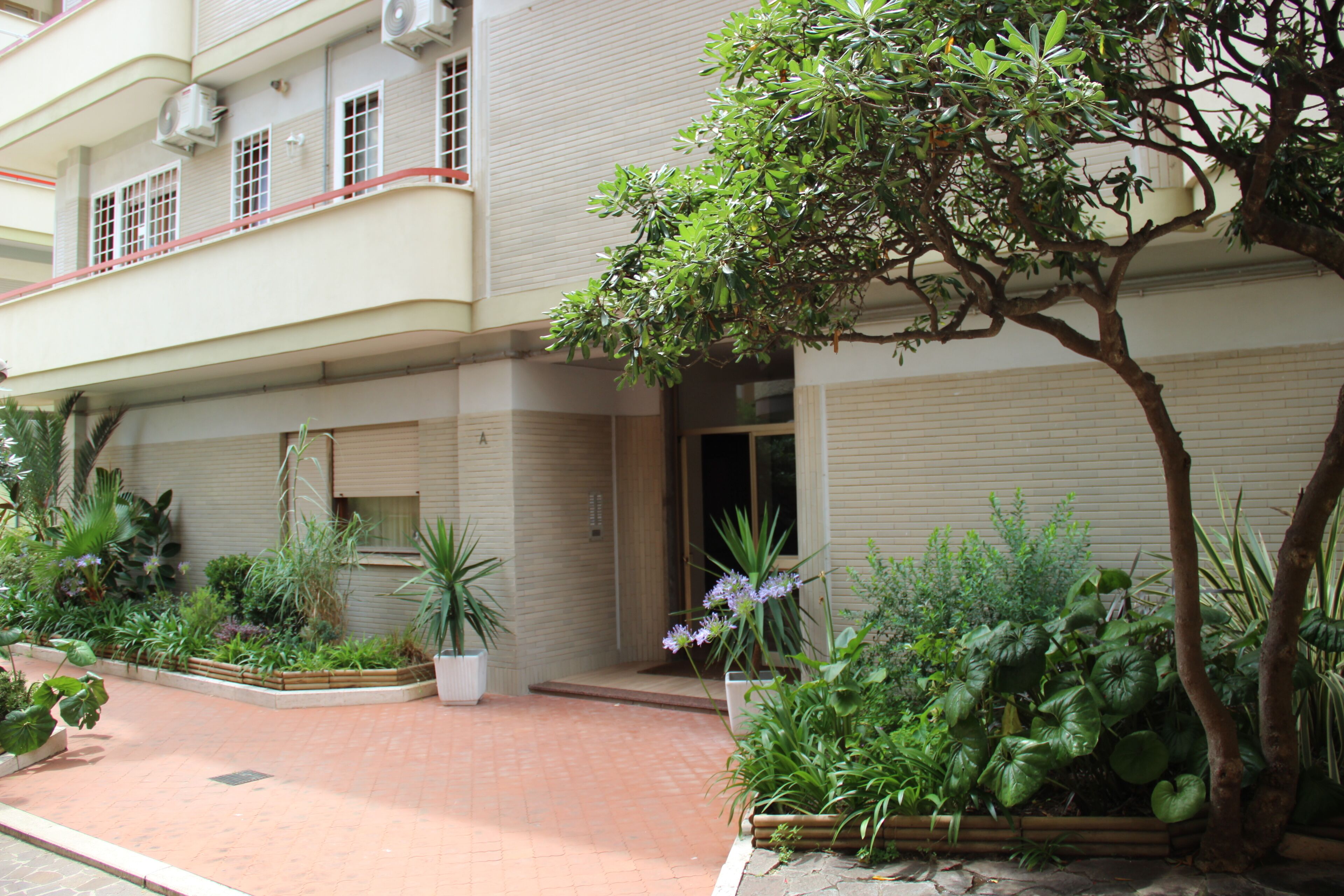 A building with a flat roof, multiple windows, and a paved entrance area with potted plants and a tree.