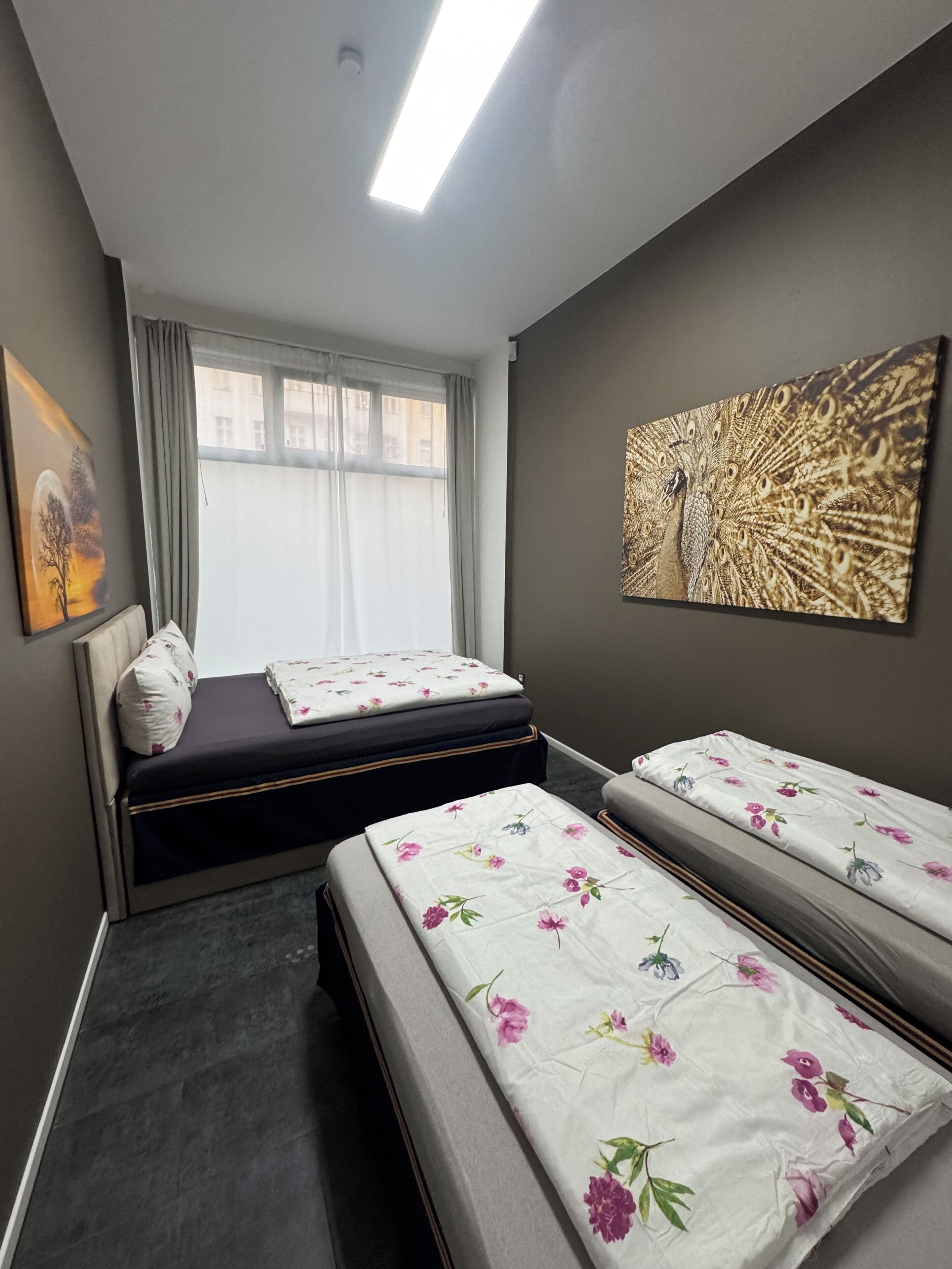 Una habitación de hotel con cama, ventana con cortinas, un cuadro en la pared y una lámpara en el techo.
