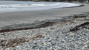 A rocky beach with waves, a forest in the background, and a few houses. - False Harbour Beach Paradise.
Directly on the beach.
worlds highest tides (Cape Forchu)