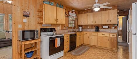 Microwave, oven, stovetop, dishwasher