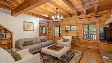 Smart TV, fireplace, books, computer monitors