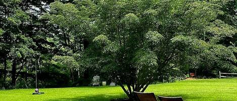 Een terras met Adirondack stoelen en een tafel, omgeven door weelderige begroeiing en bomen.
